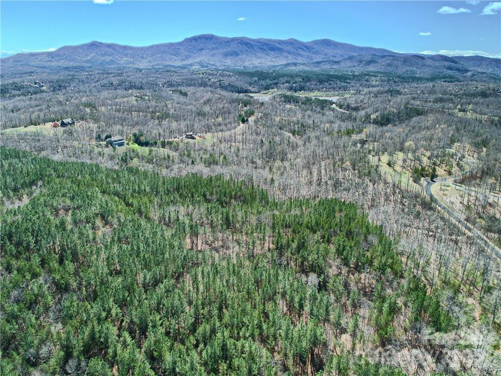 00 Boundary Road #51/52 - Photo 49