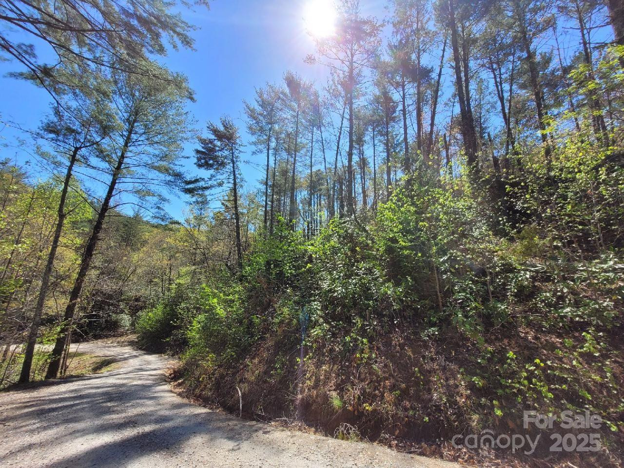 167 Fox Ridge Trail - Photo 6