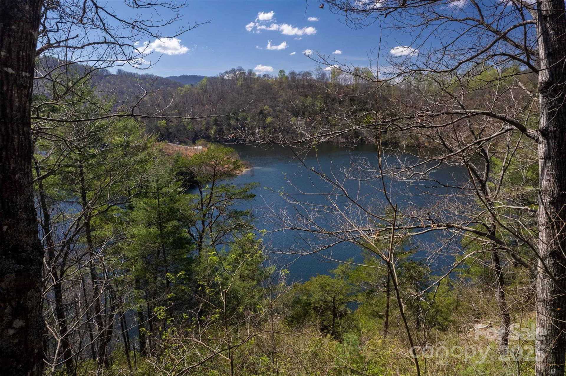 136 Dars Lane - Photo 5