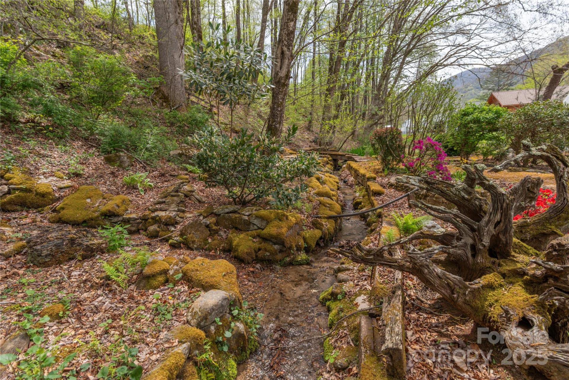 287 Caldwell Drive #7 - Photo 30