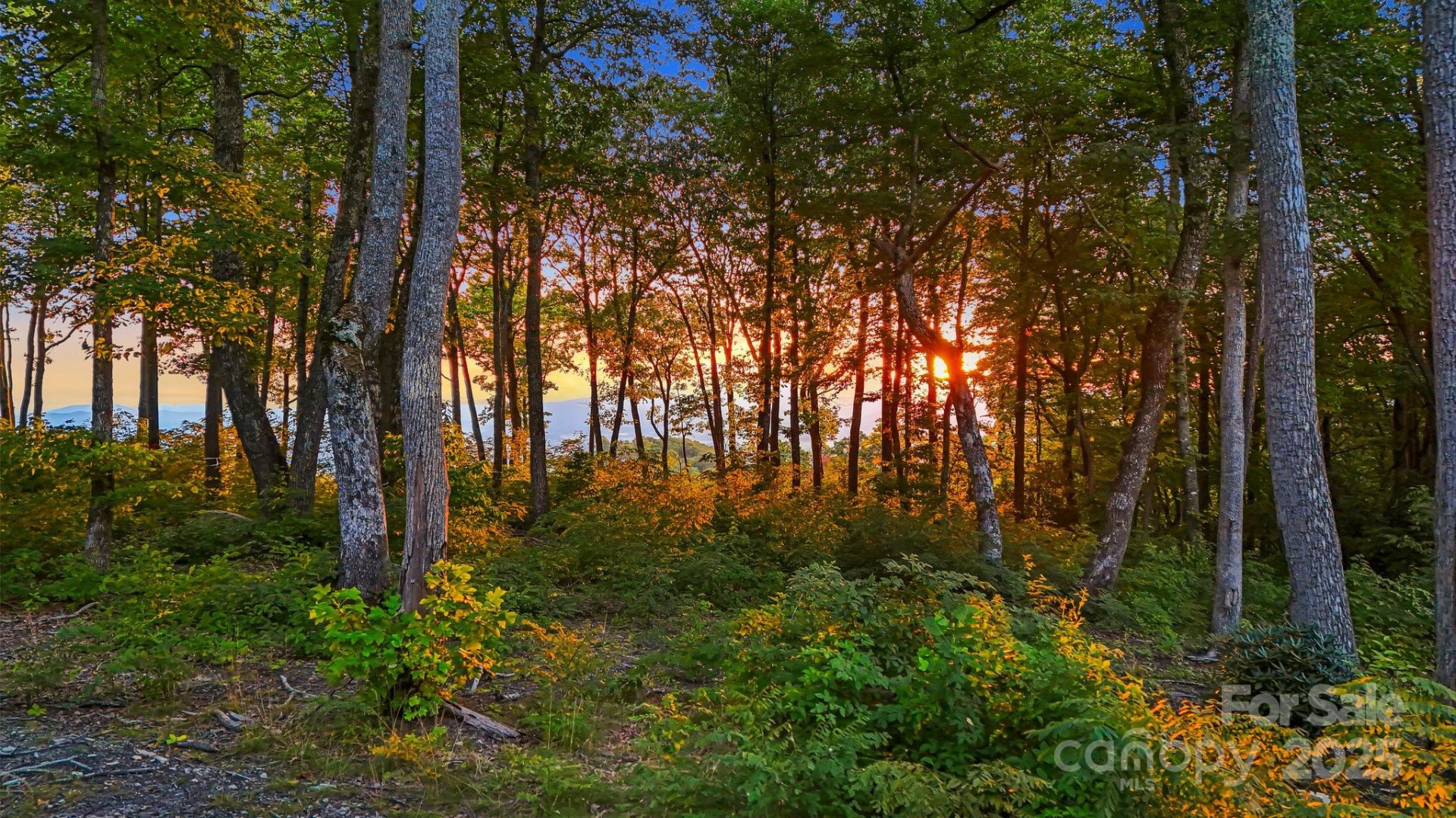 0 Mountain Grove Lane #Lot 68 - Photo 3