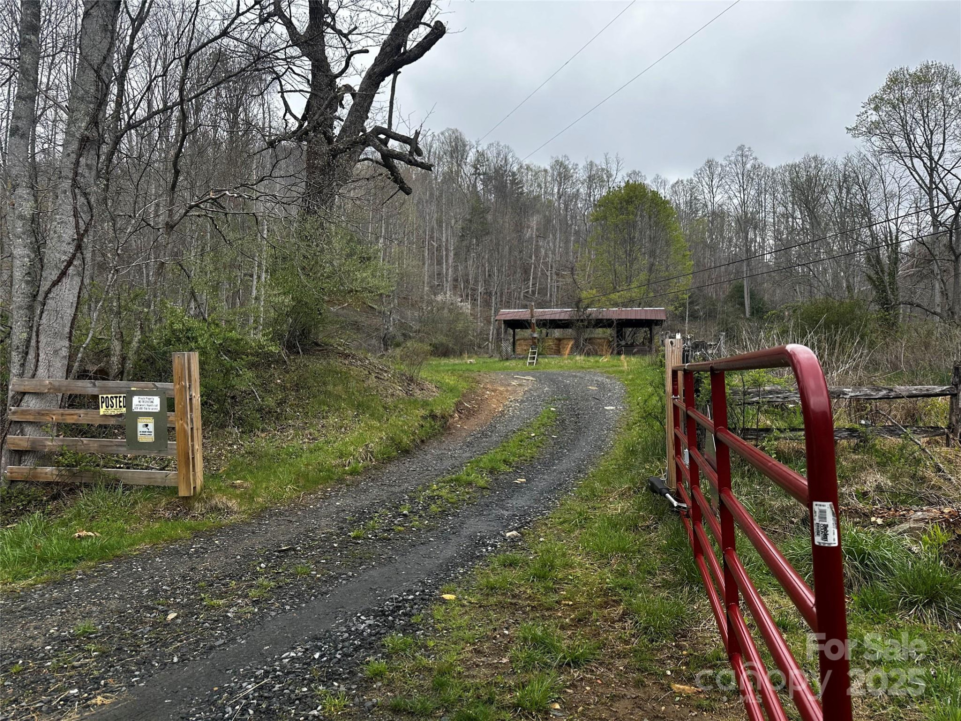 00 Aaron Branch - Photo 2