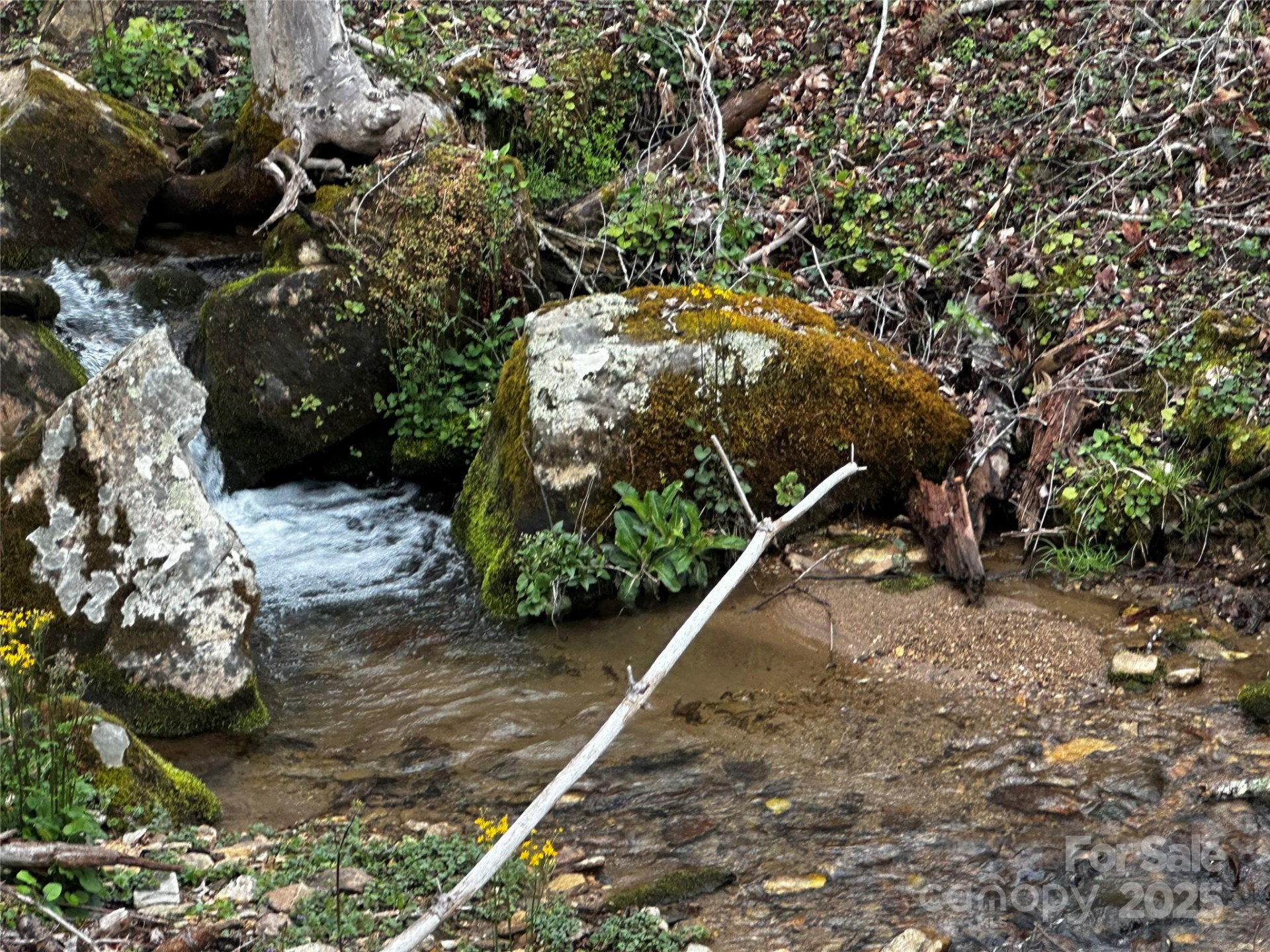 00 Aaron Branch - Photo 11