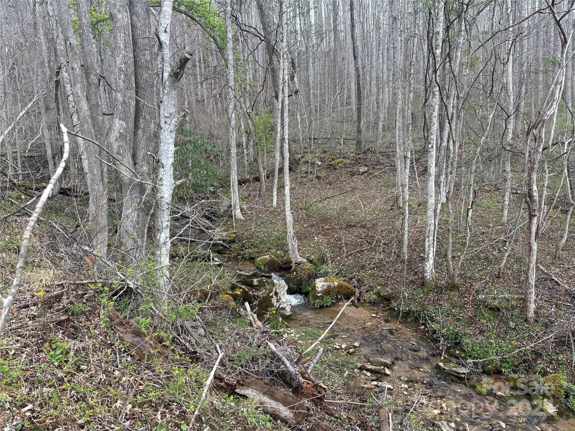 00 Aaron Branch - Photo 12