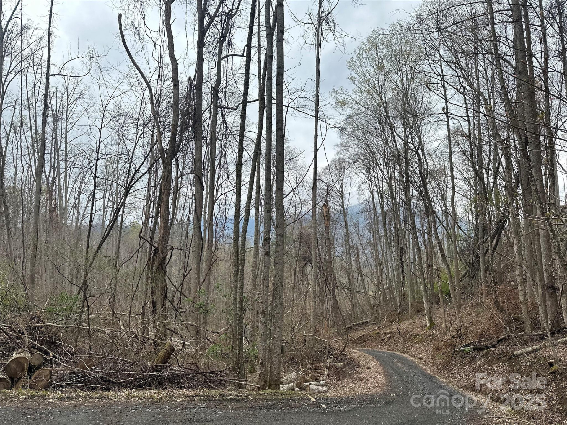 00 Aaron Branch - Photo 13