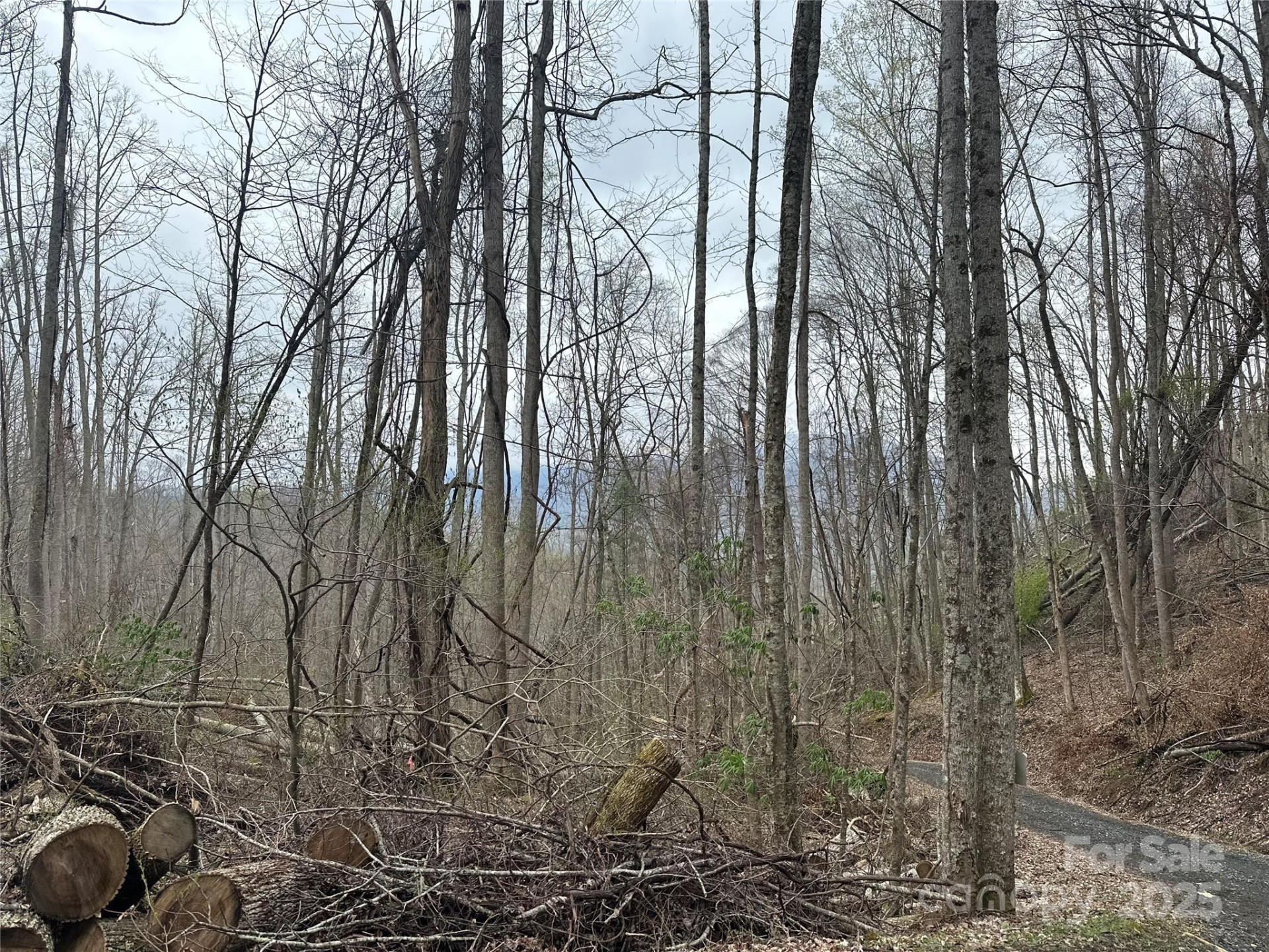 00 Aaron Branch - Photo 14