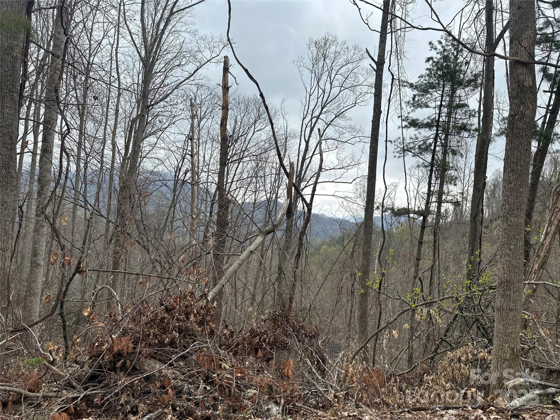 00 Aaron Branch - Photo 15