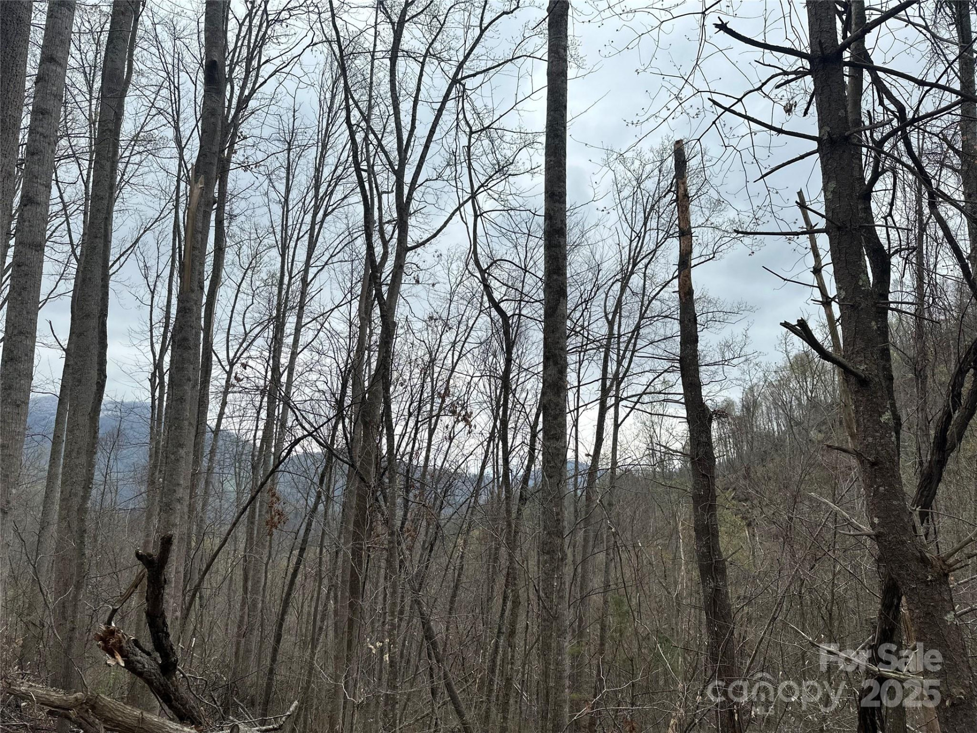 00 Aaron Branch - Photo 16