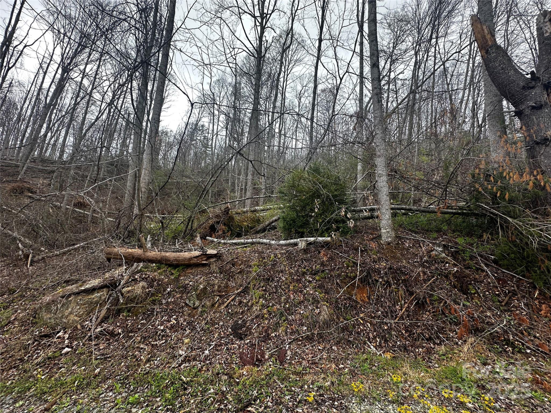 00 Aaron Branch - Photo 3