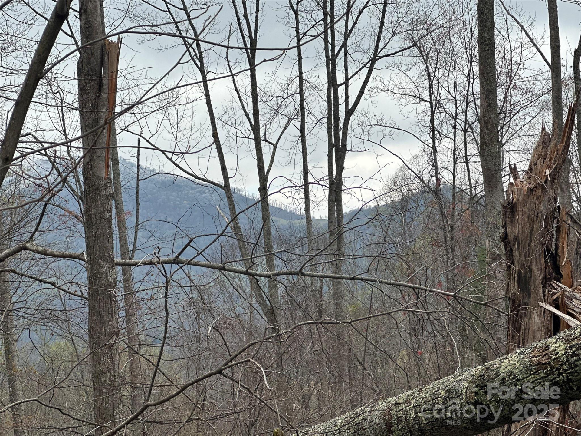 00 Aaron Branch - Photo 4