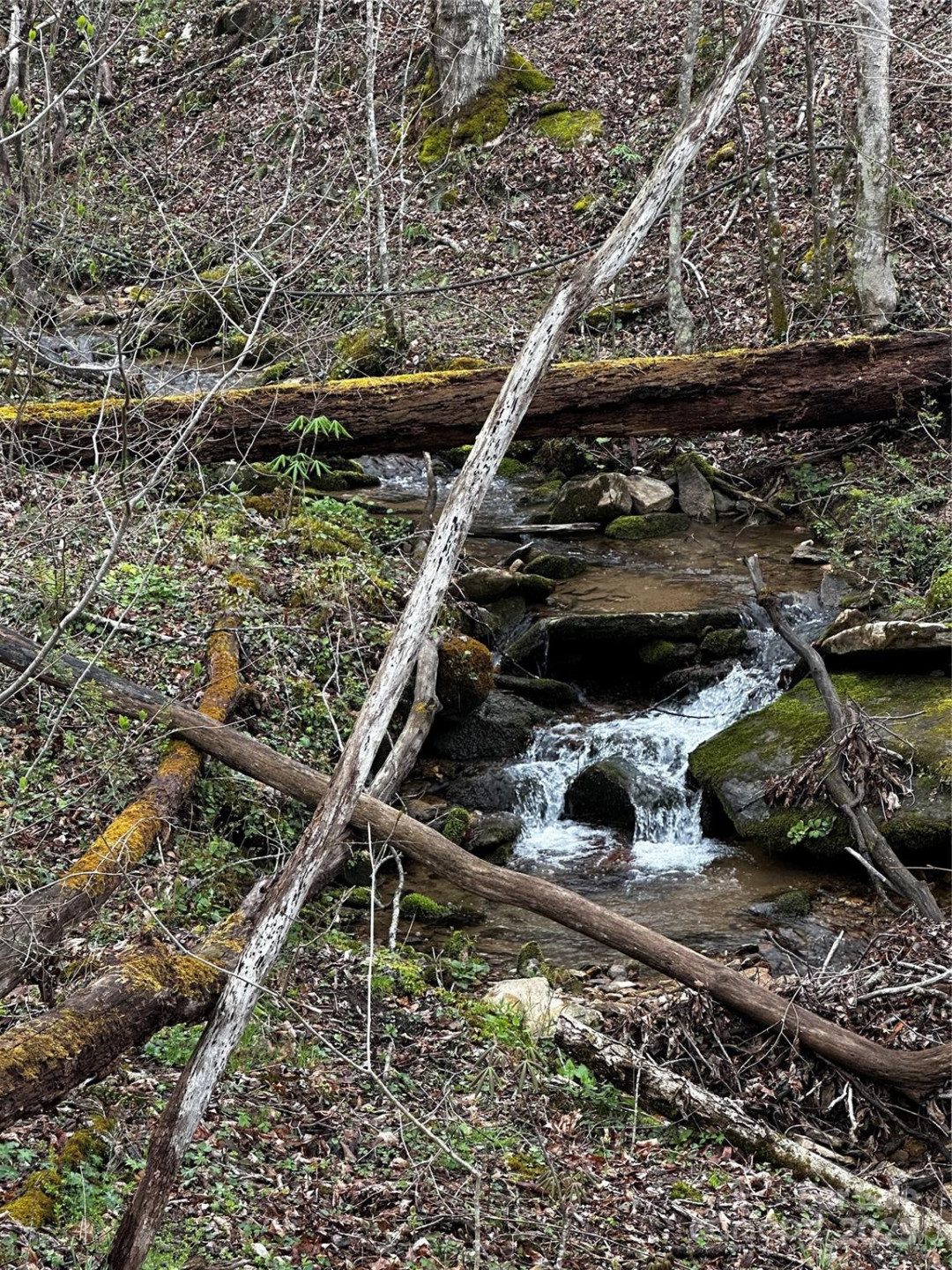 00 Aaron Branch - Photo 5