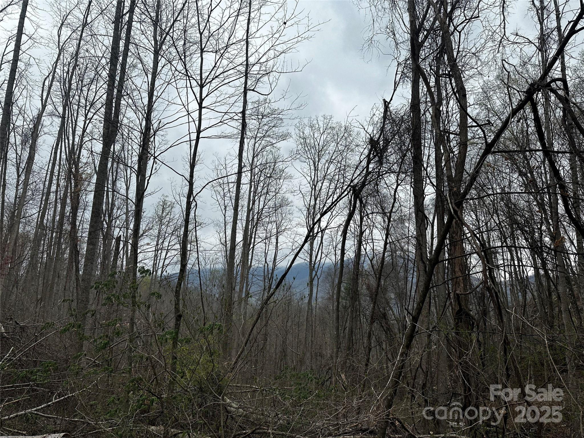 00 Aaron Branch - Photo 8