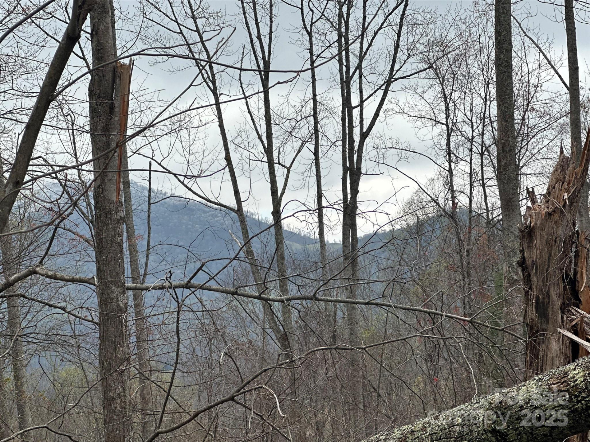 00 Aaron Branch - Photo 10