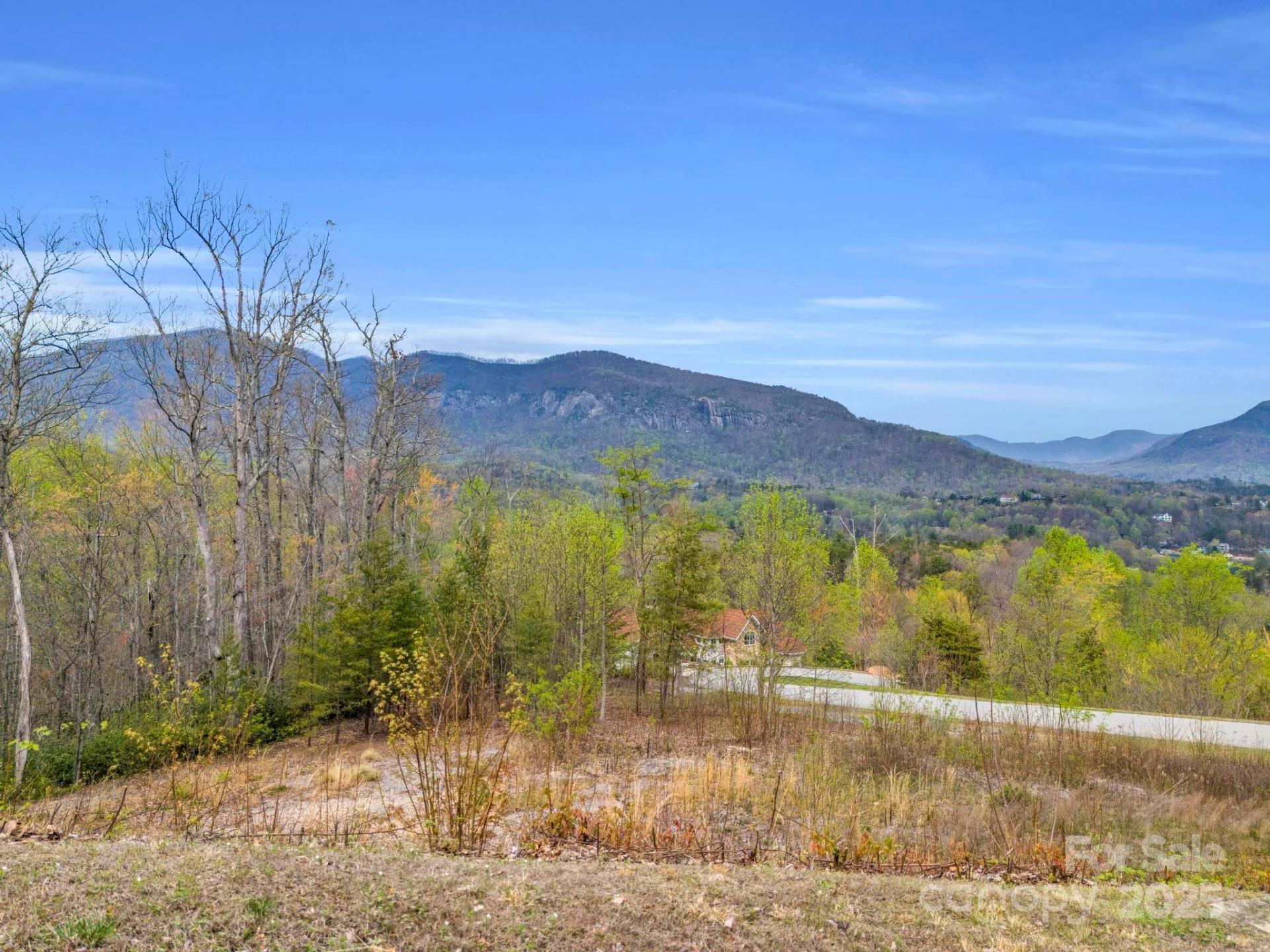 0 Clear Creek Trail #36 - Photo 14