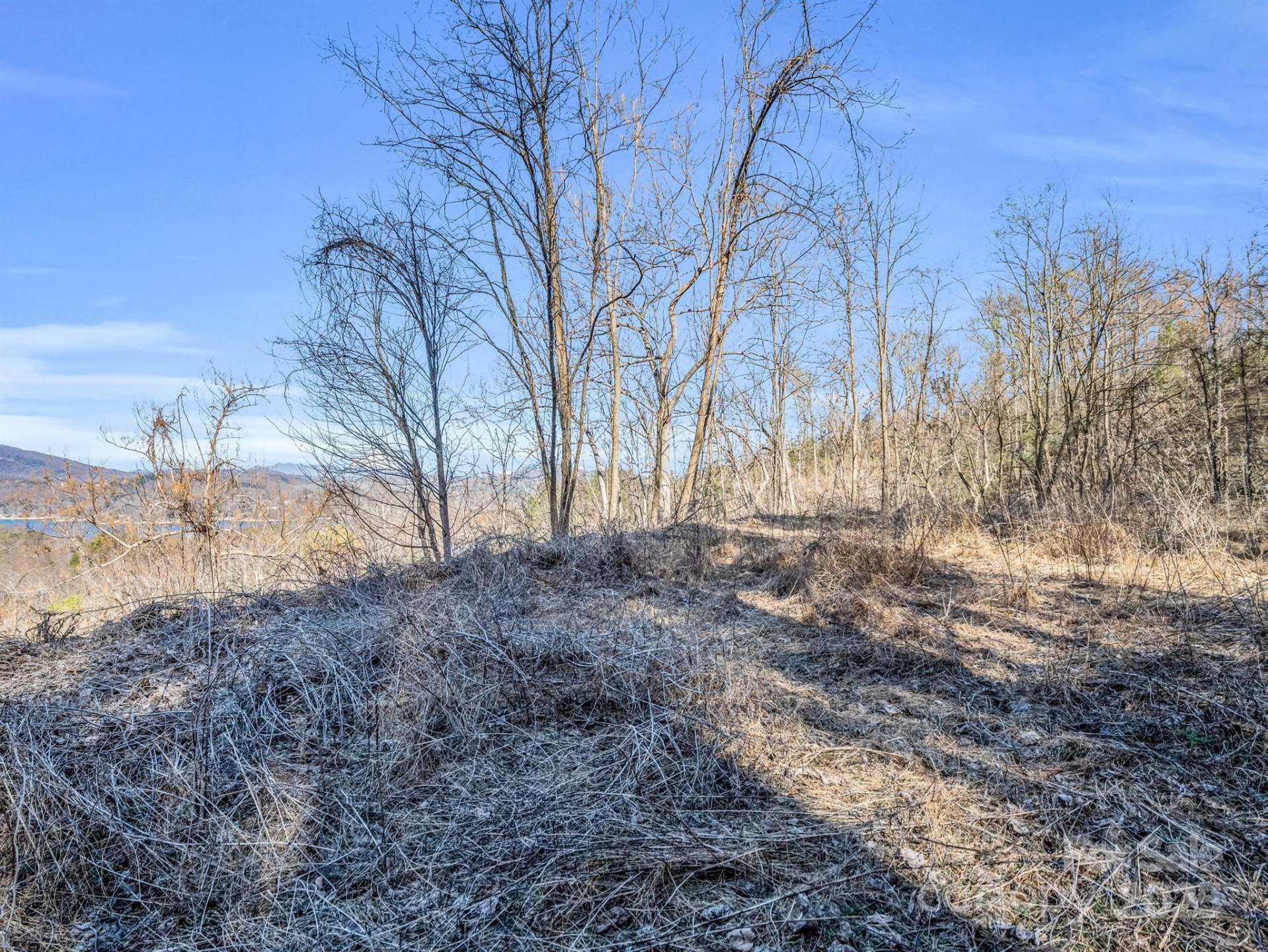 0 Clear Creek Trail #30 - Photo 19