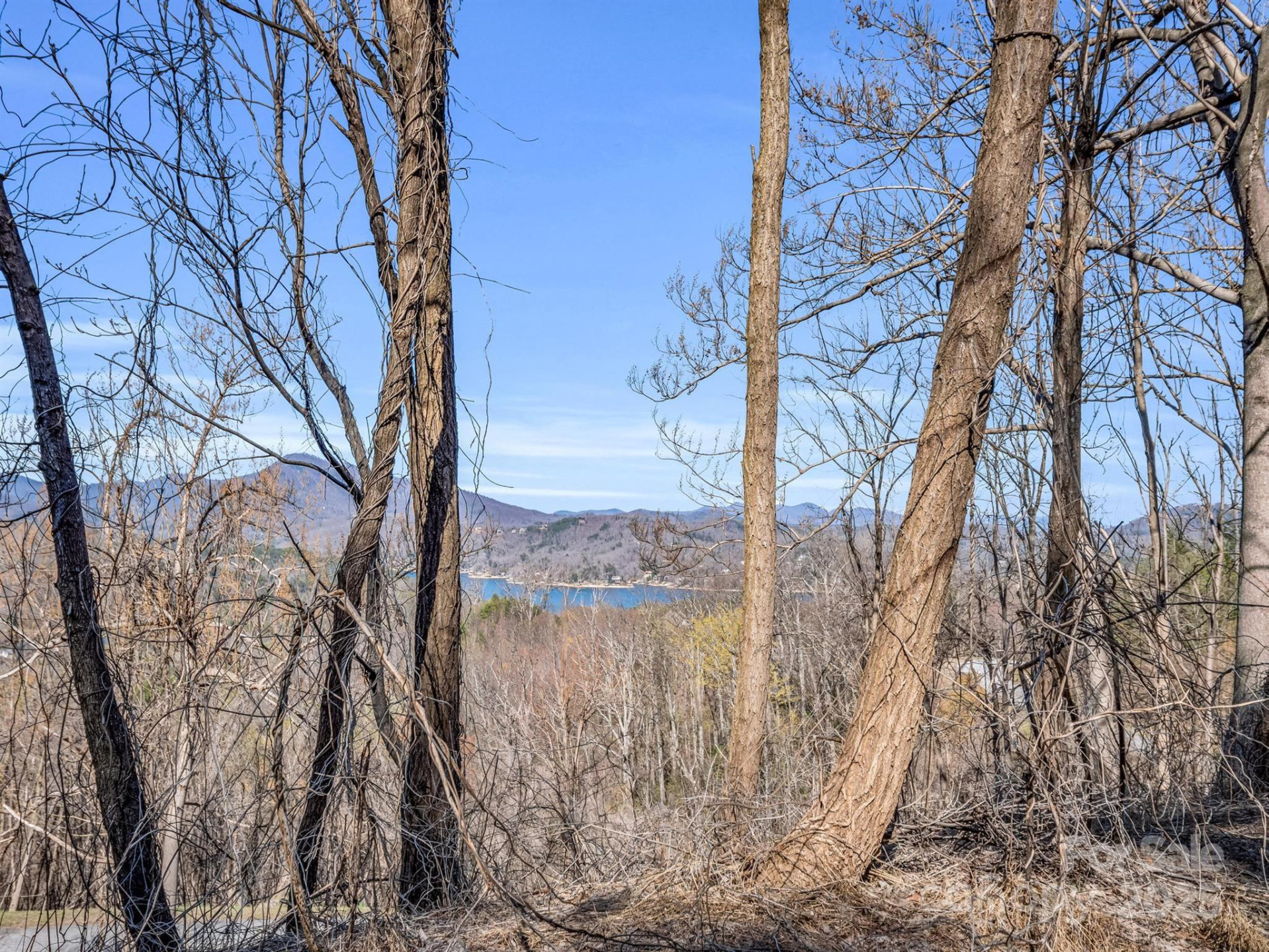 0 Clear Creek Trail #30 - Photo 20