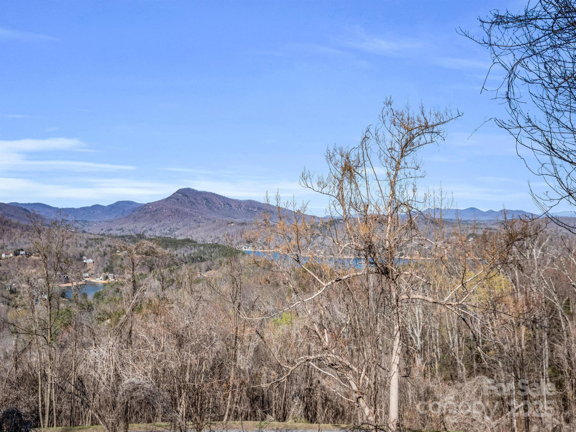 0 Clear Creek Trail #30 - Photo 3