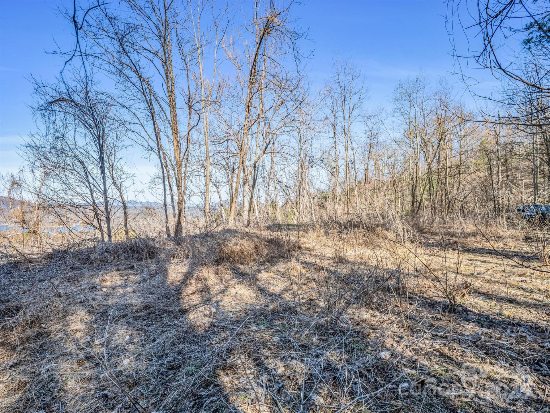 0 Clear Creek Trail #30 - Photo 21