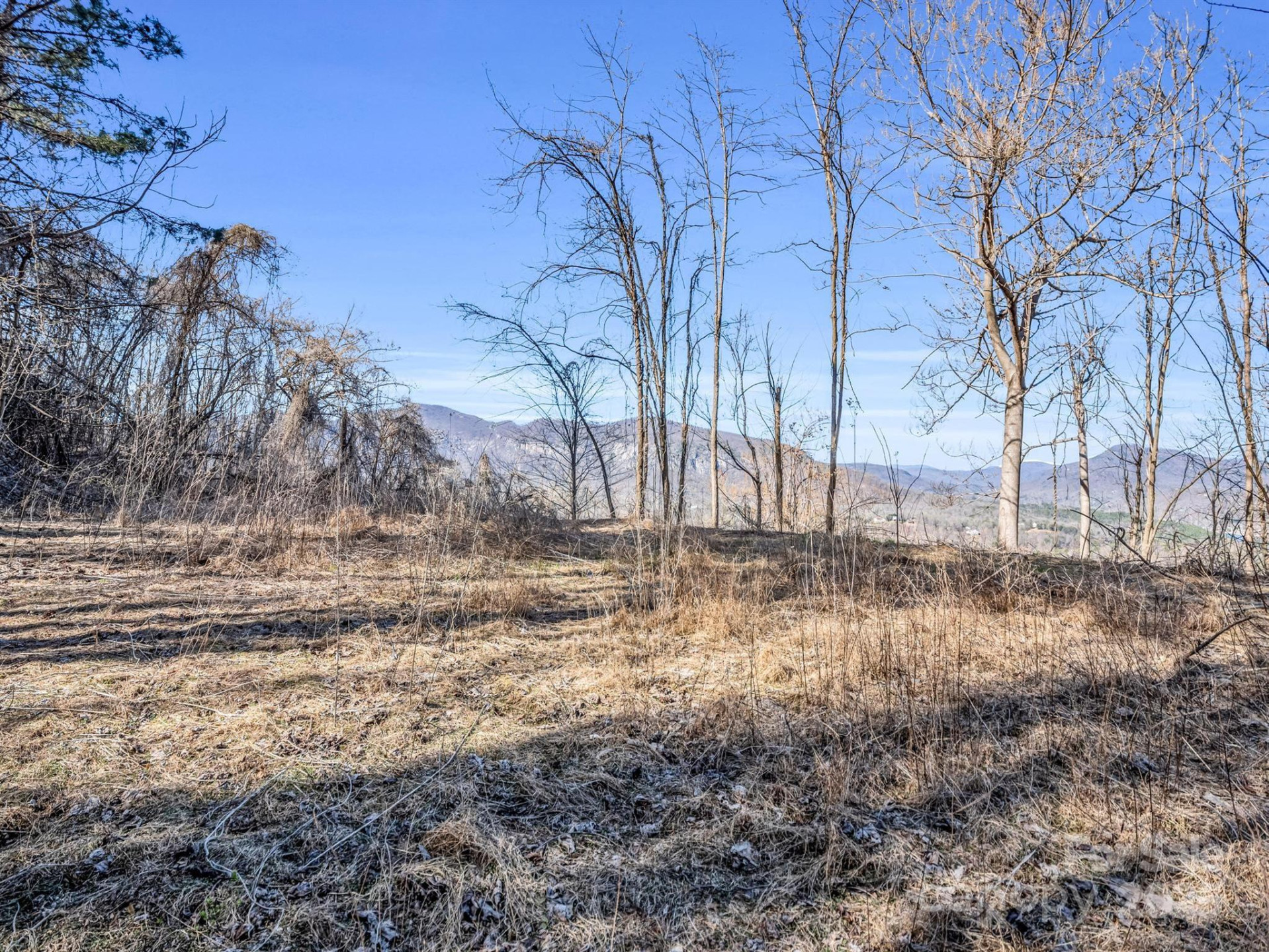 0 Clear Creek Trail #30 - Photo 22