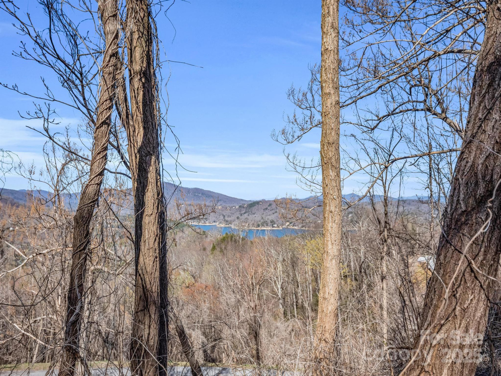 0 Clear Creek Trail #30 - Photo 23