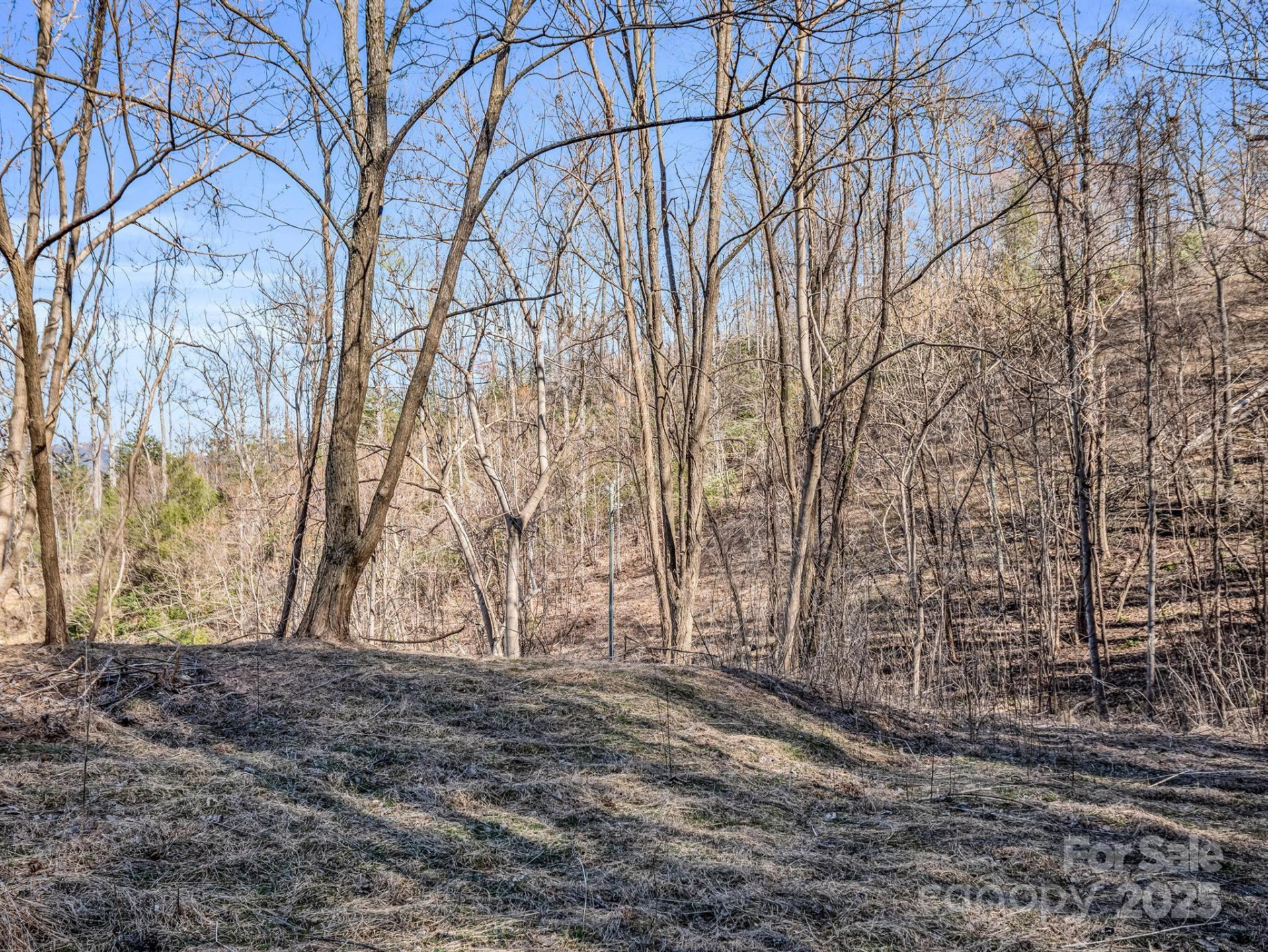 0 Clear Creek Trail #30 - Photo 24