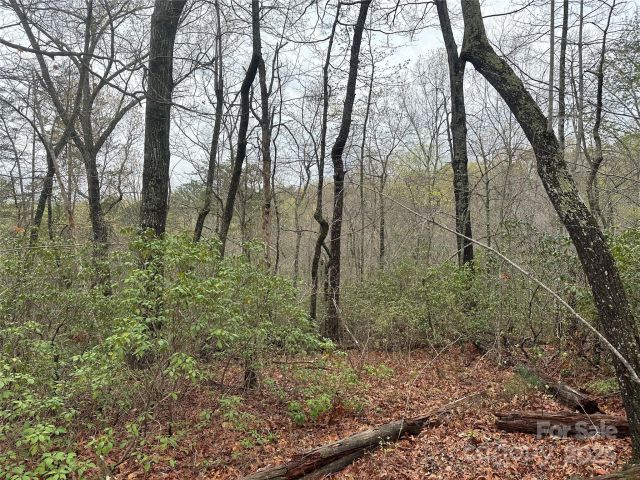 V/L Country Acres Drive, Old Fort, NC, 28762