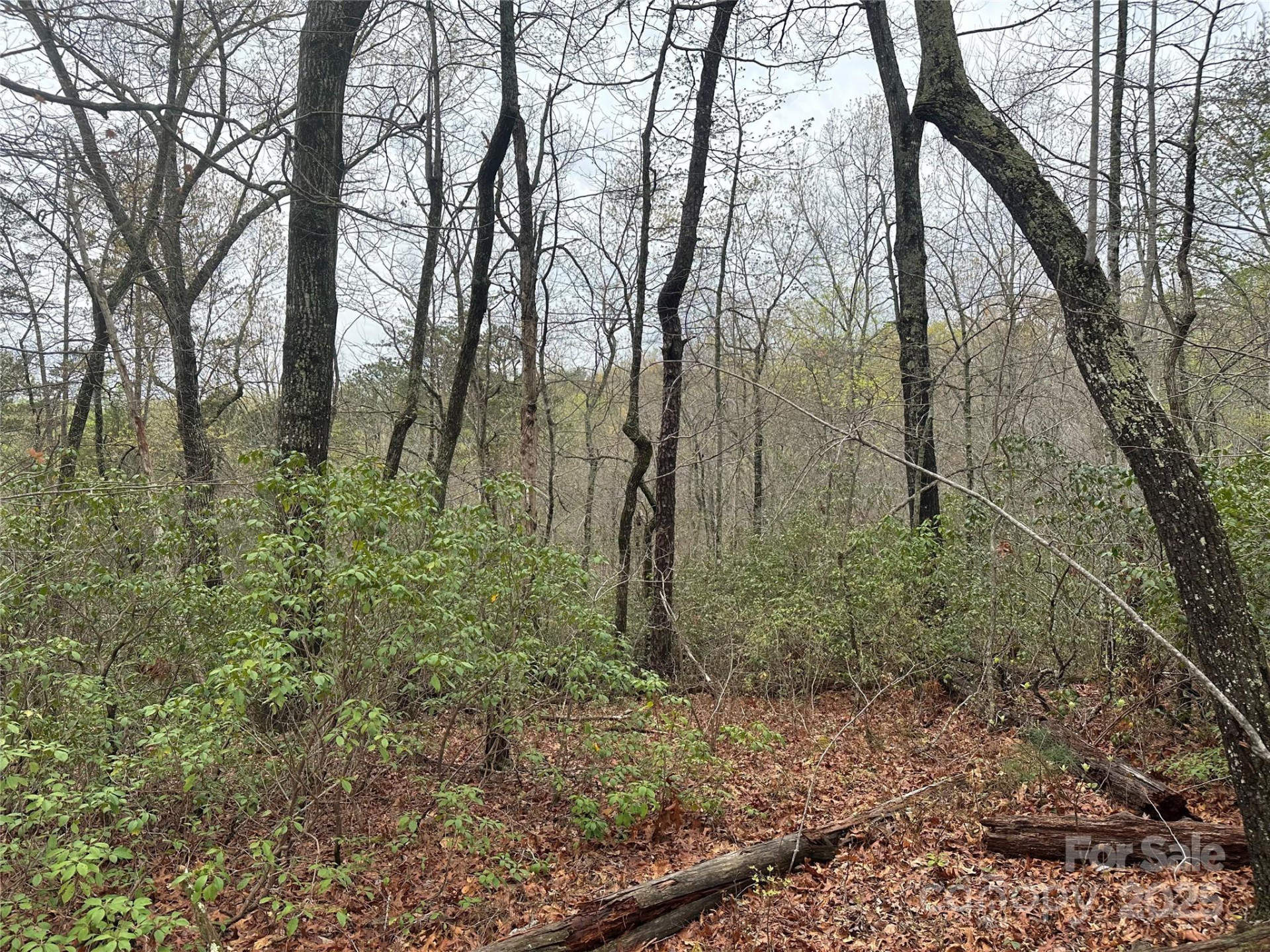 V/L Country Acres Drive