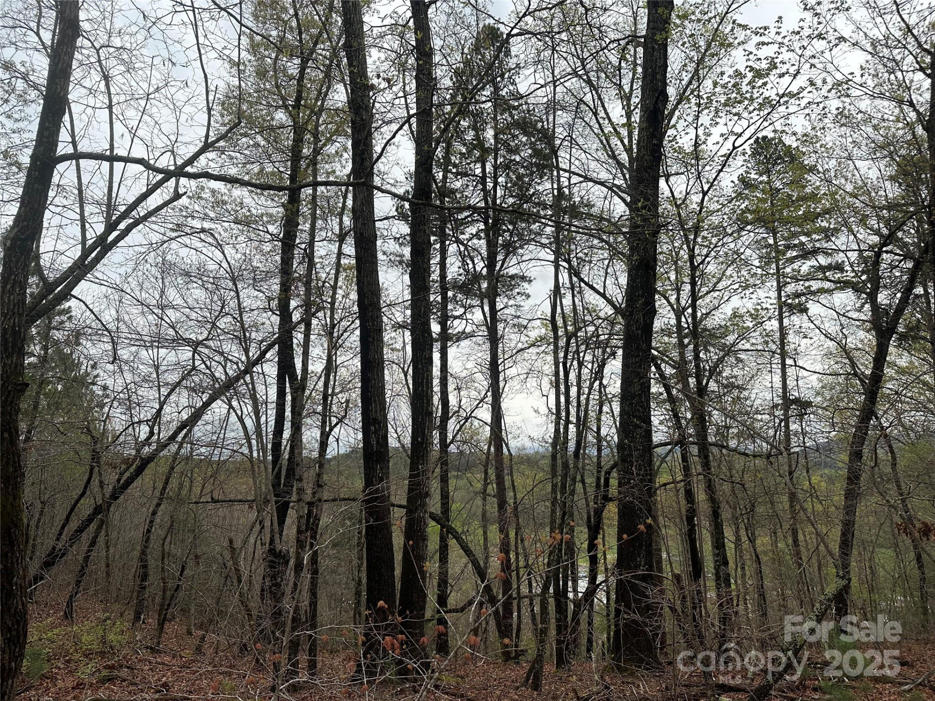 V/L Country Acres Drive - Photo 6