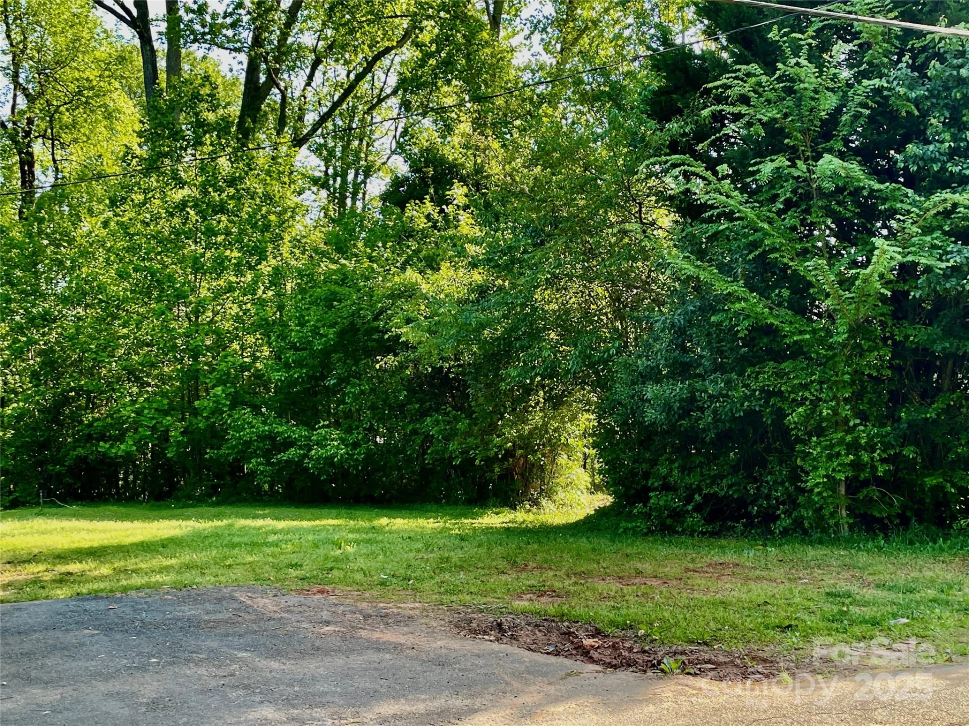 220 Avery Street - Photo 3
