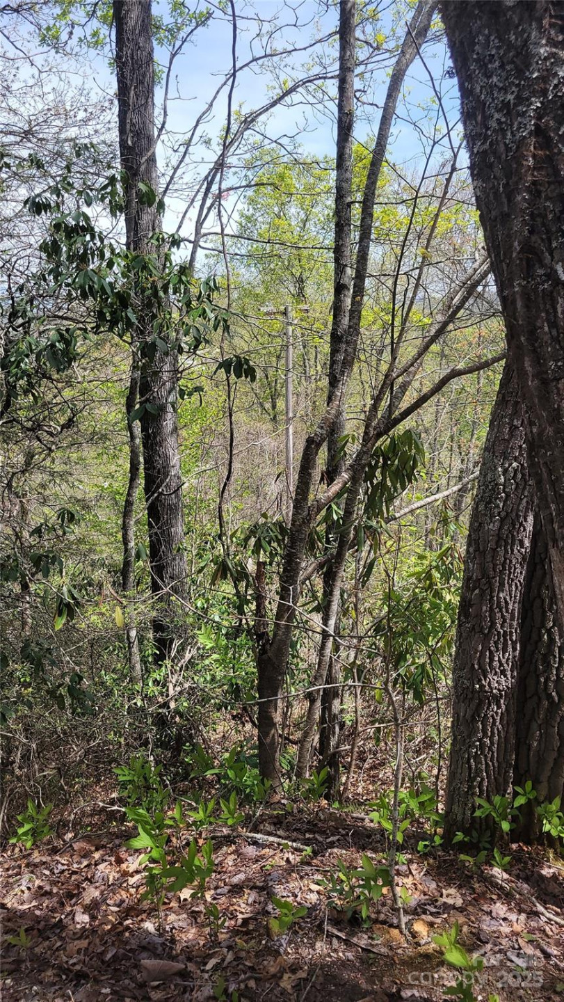 25 Lacy Fern Ridge #25 - Photo 22