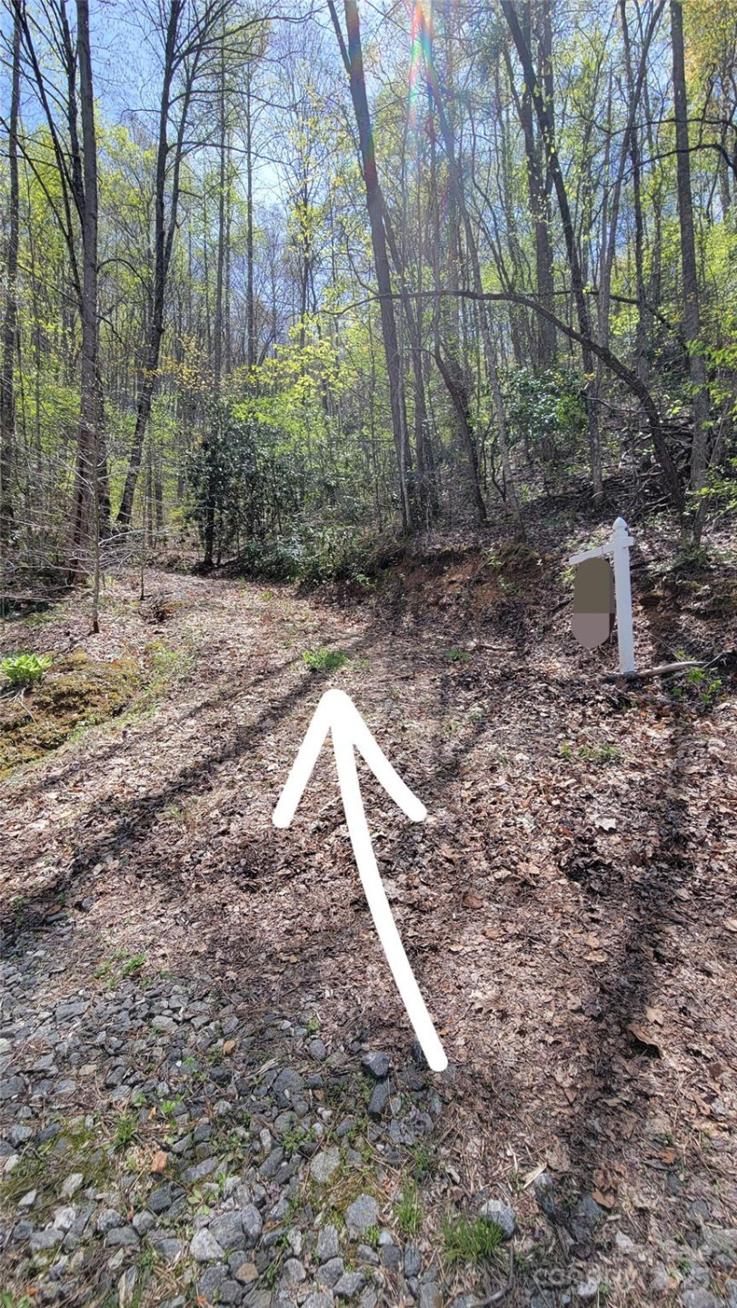 27 Lacy Fern Ridge #27 - Photo 2