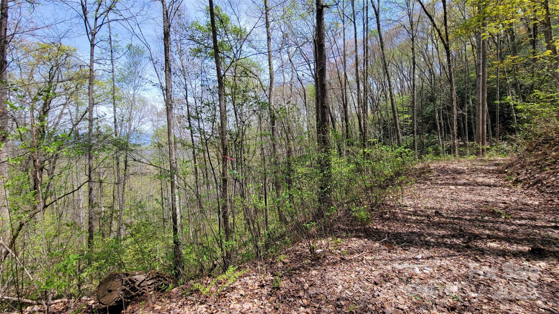 27 Lacy Fern Ridge #27 - Photo 11