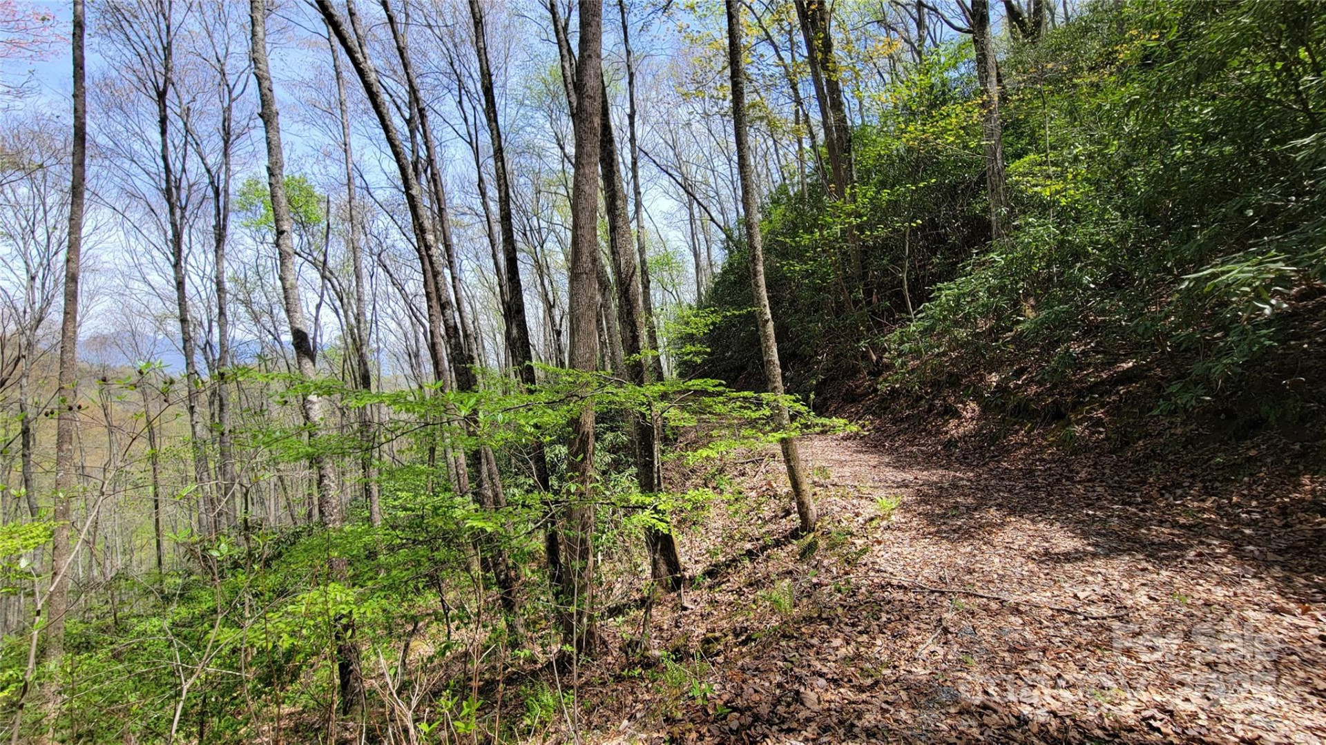 27 Lacy Fern Ridge #27 - Photo 13