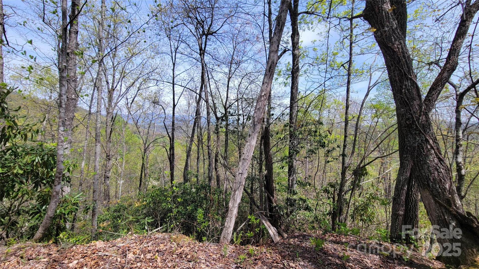 27 Lacy Fern Ridge #27 - Photo 23