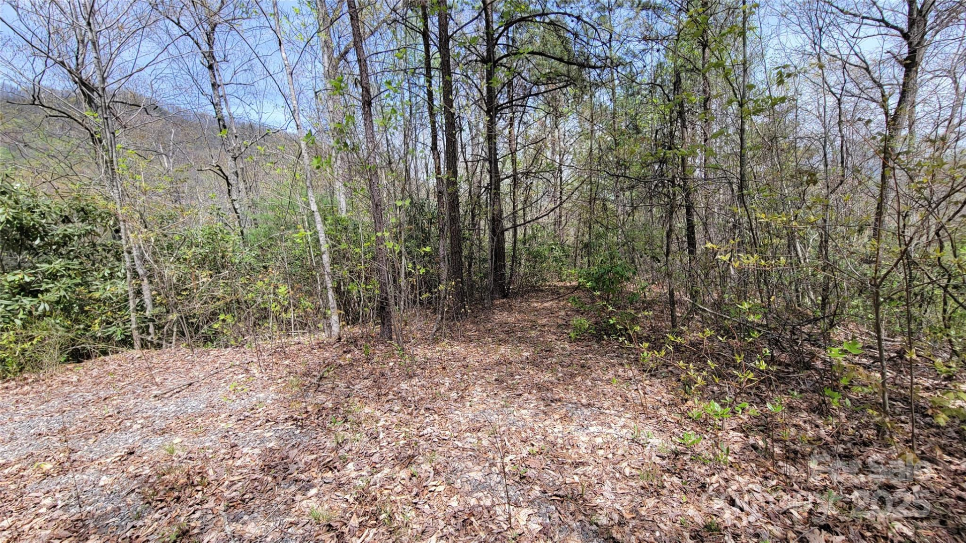 27 Lacy Fern Ridge #27 - Photo 5