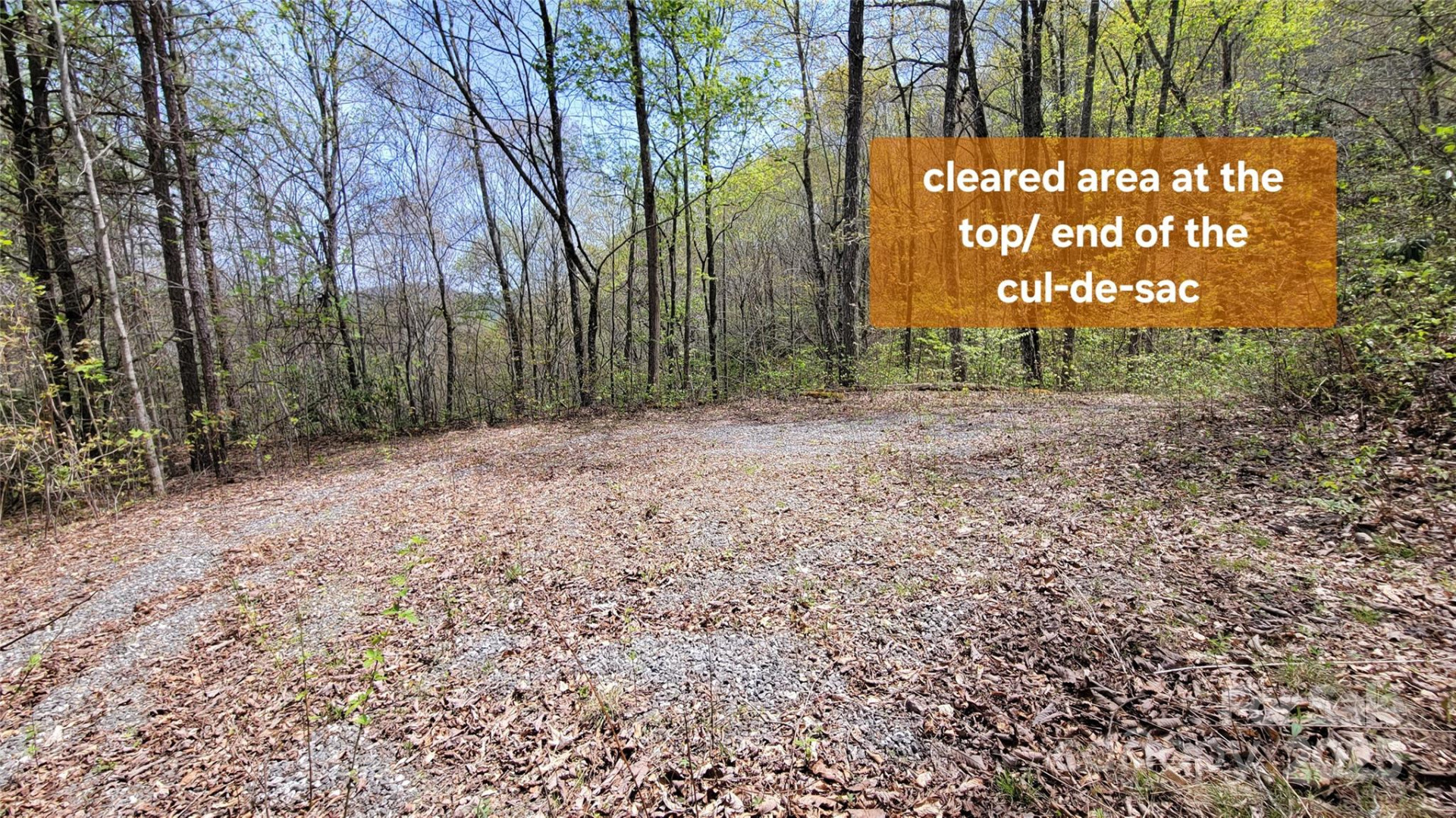 28 Lacy Fern Ridge #28 - Photo 3