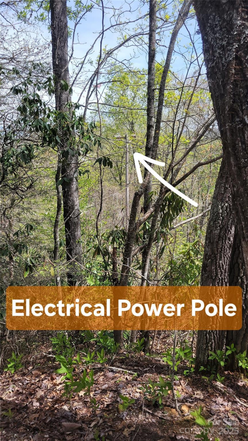 29 Lacy Fern Ridge #29 - Photo 18