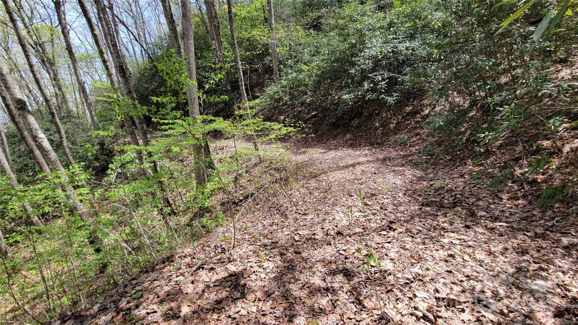 30 Lacy Fern Ridge #30 - Photo 15