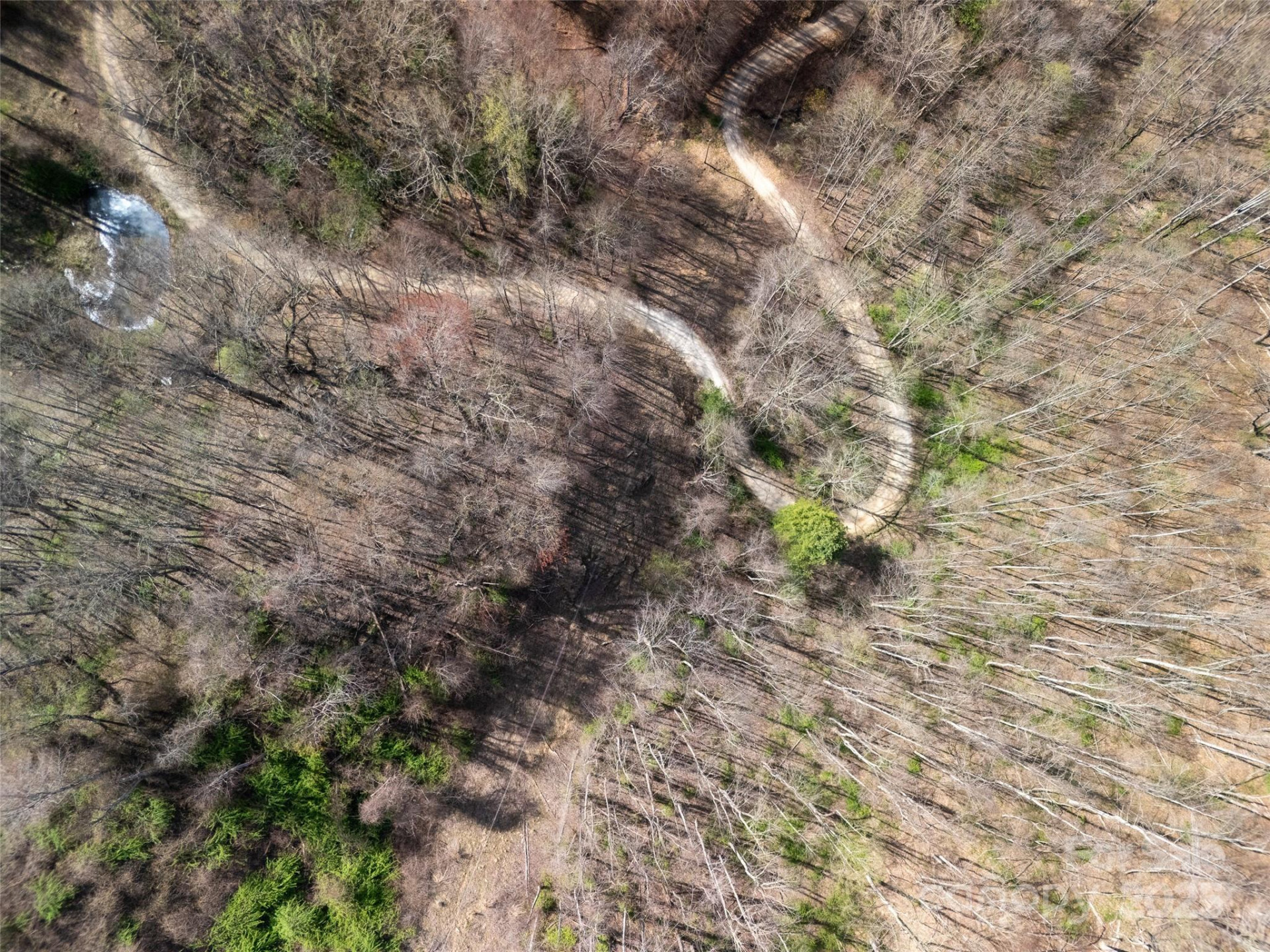 40 acres Charity Lane - Photo 2