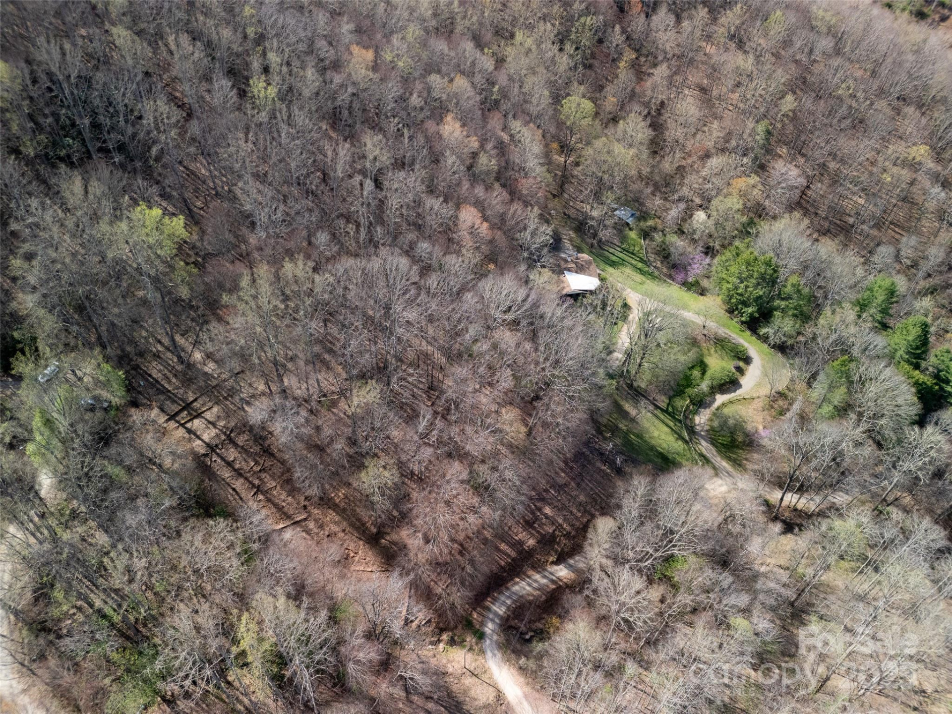 40 acres Charity Lane - Photo 14