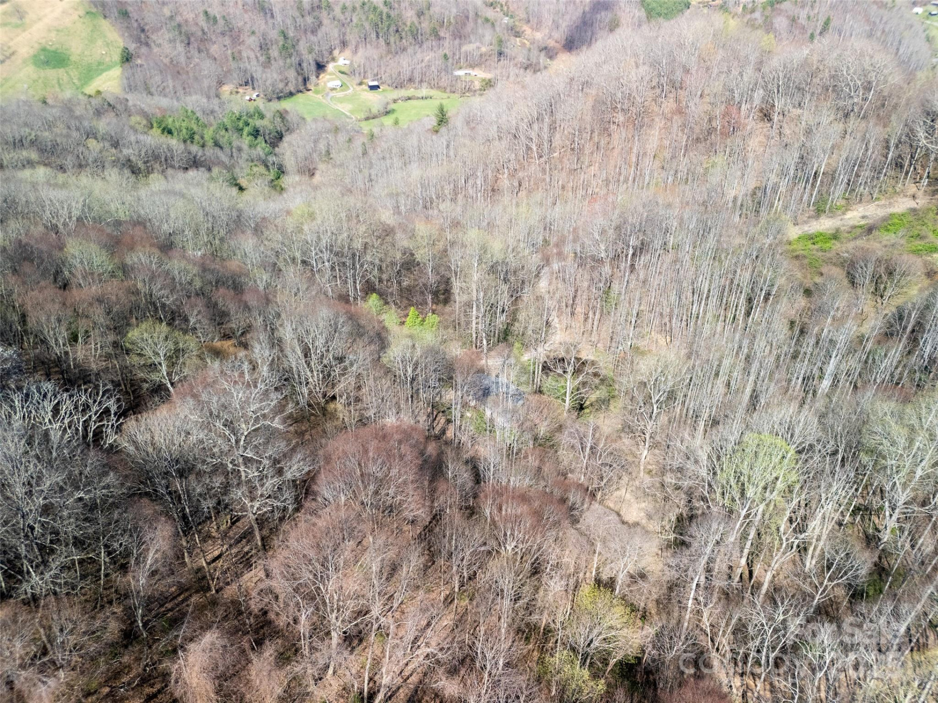 40 acres Charity Lane - Photo 6