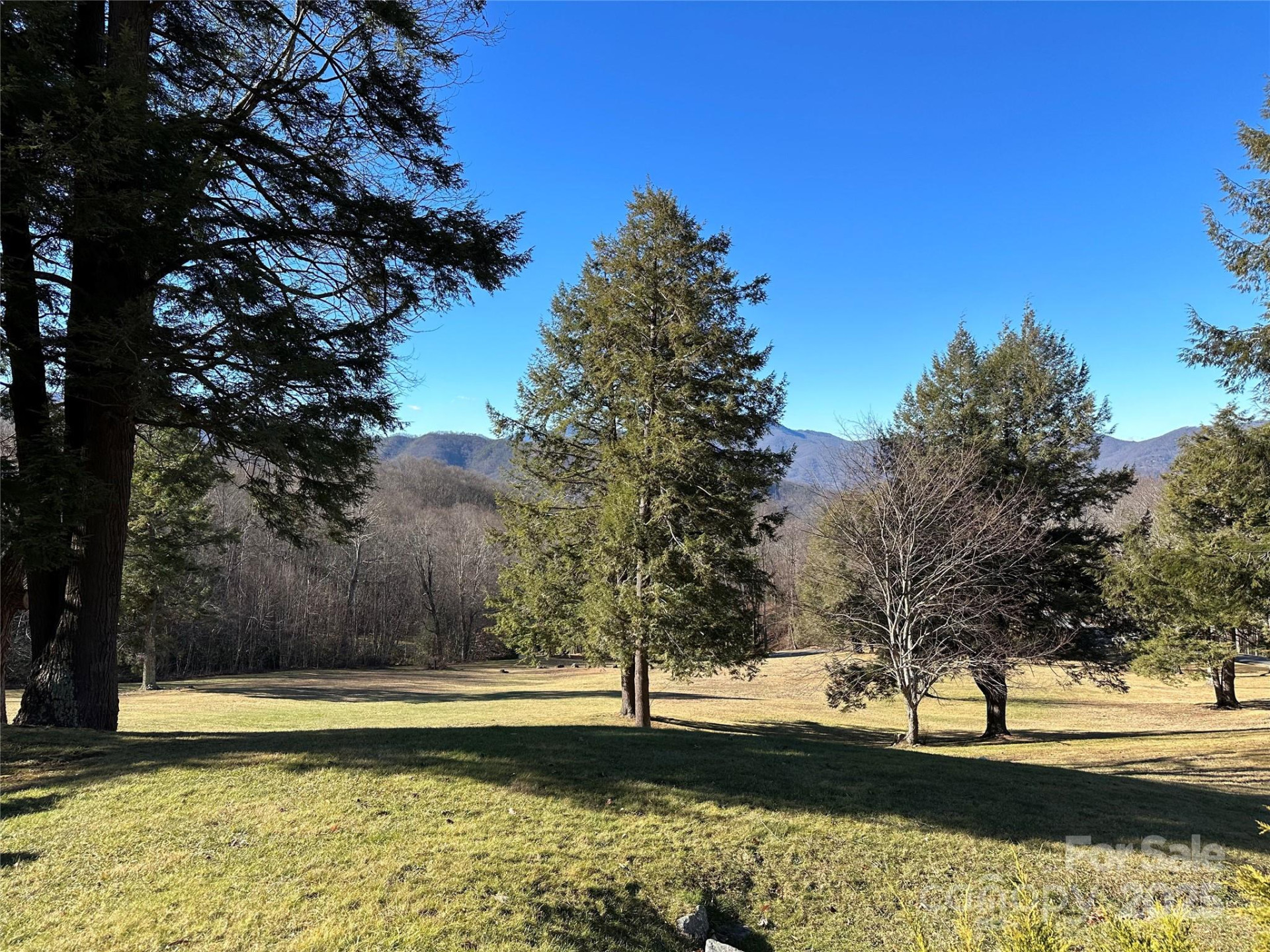 000 Finlaystone Trace #26 - Photo 11