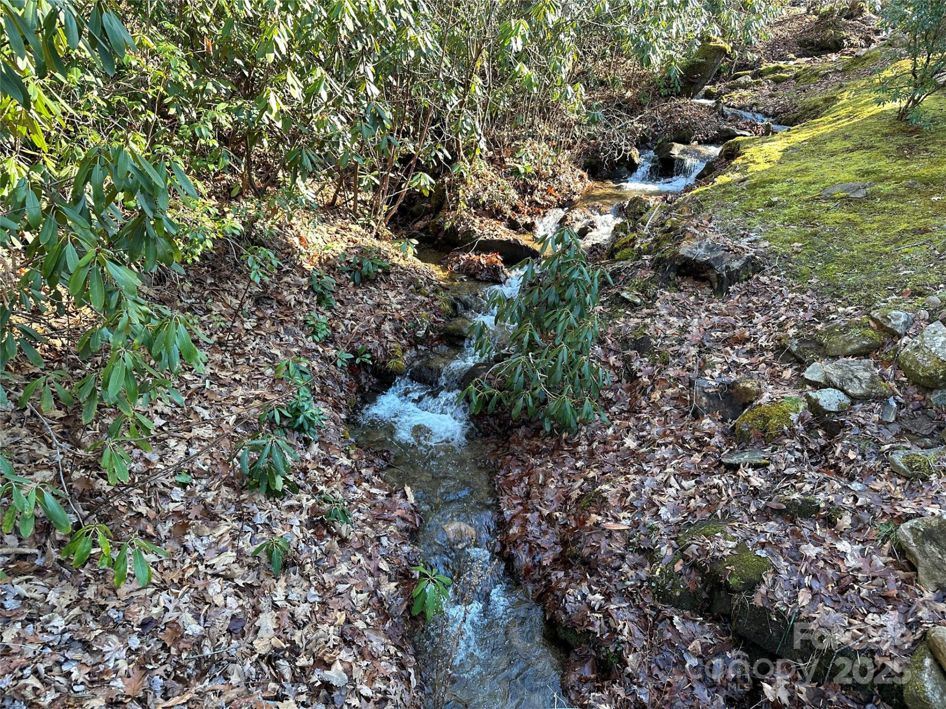 000 Finlaystone Trace #26 - Photo 15