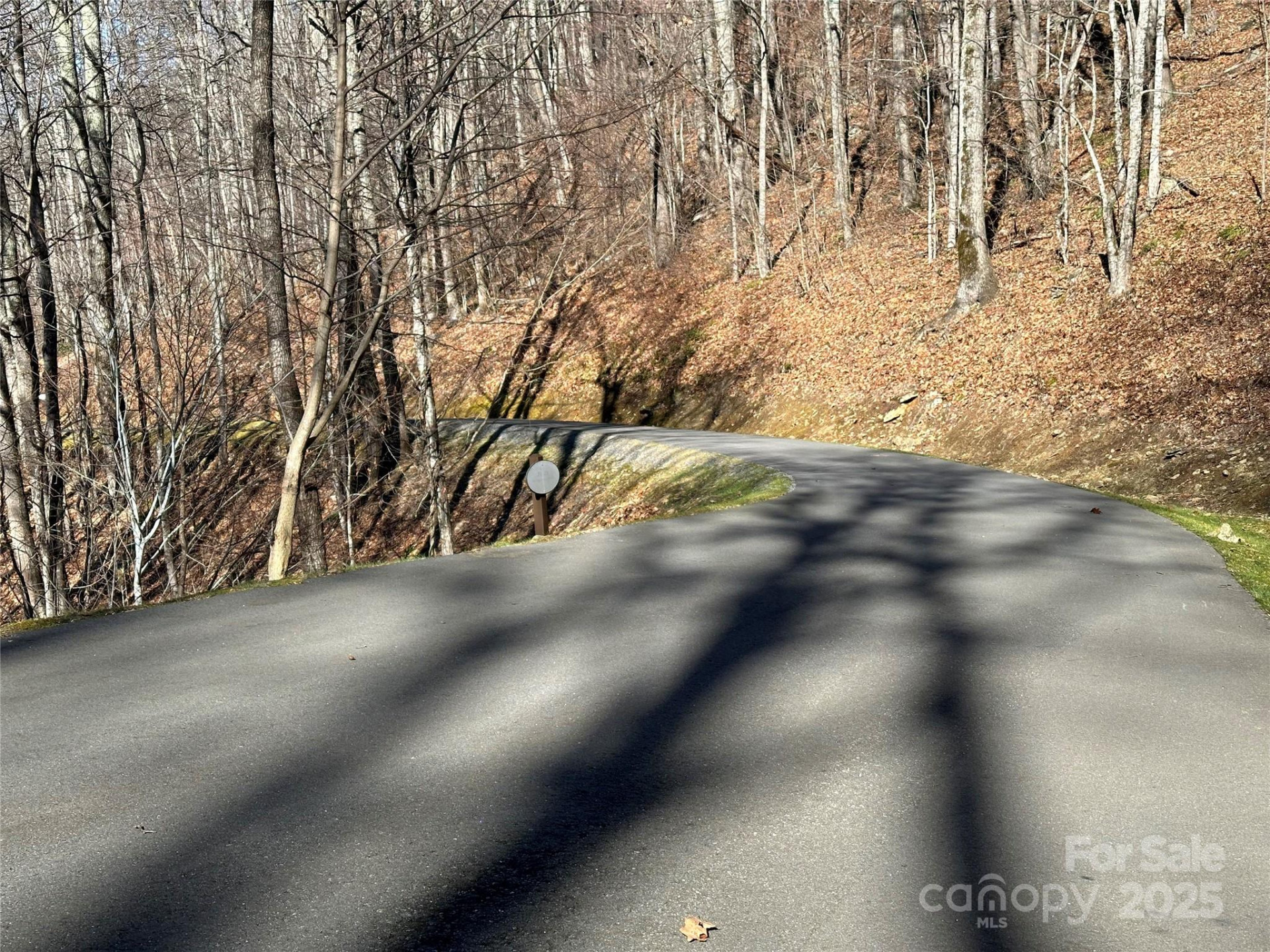 000 Finlaystone Trace #26 - Photo 3