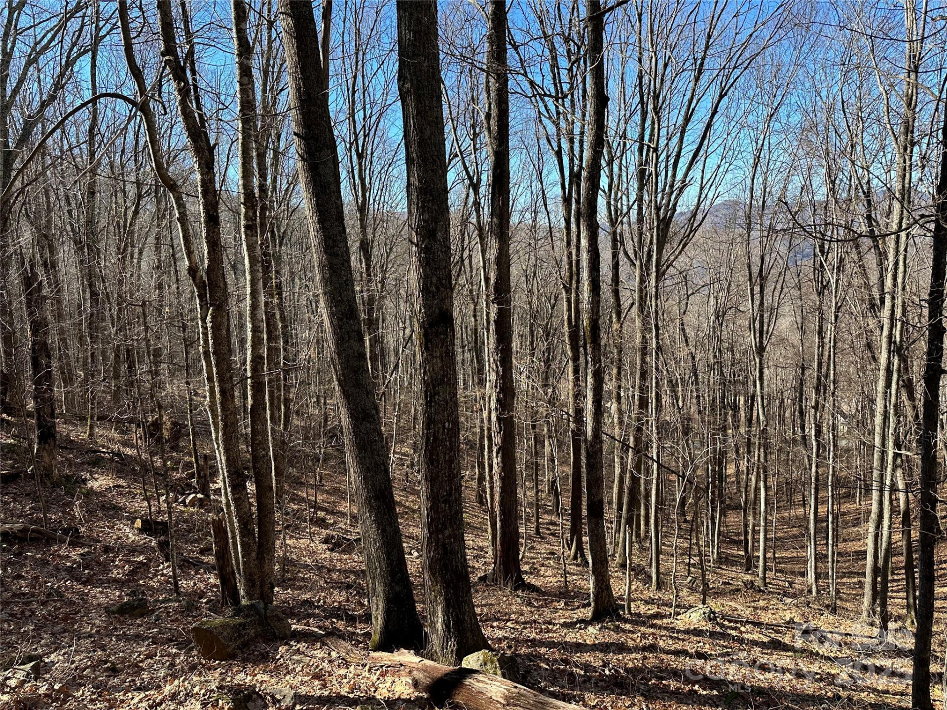 000 Finlaystone Trace #26 - Photo 4