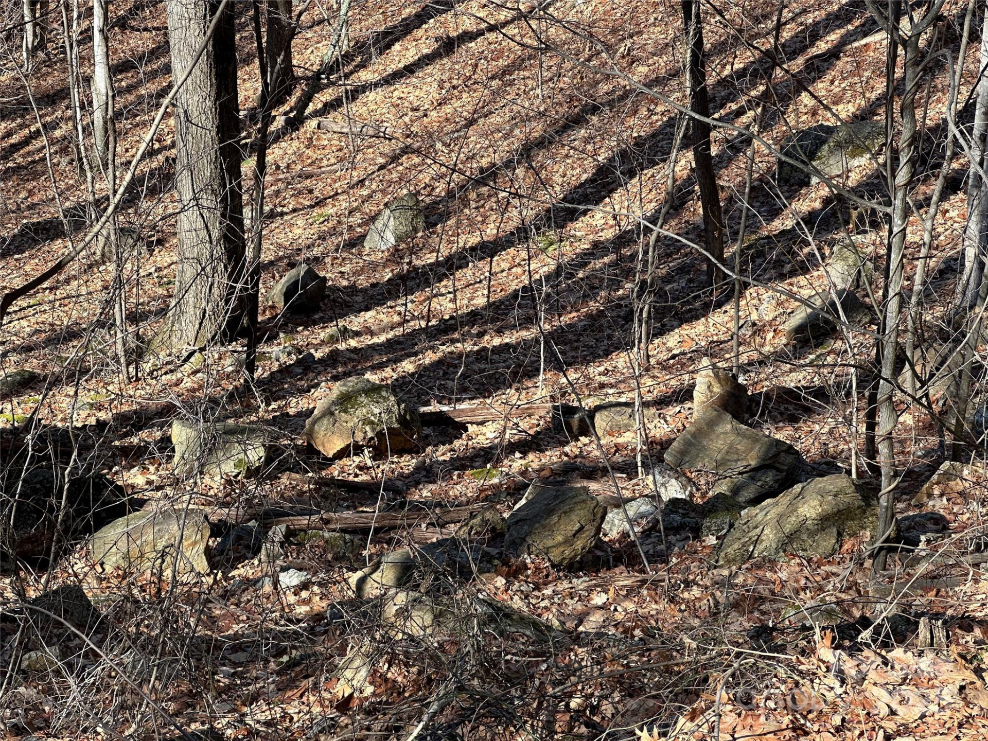 000 Finlaystone Trace #26 - Photo 5