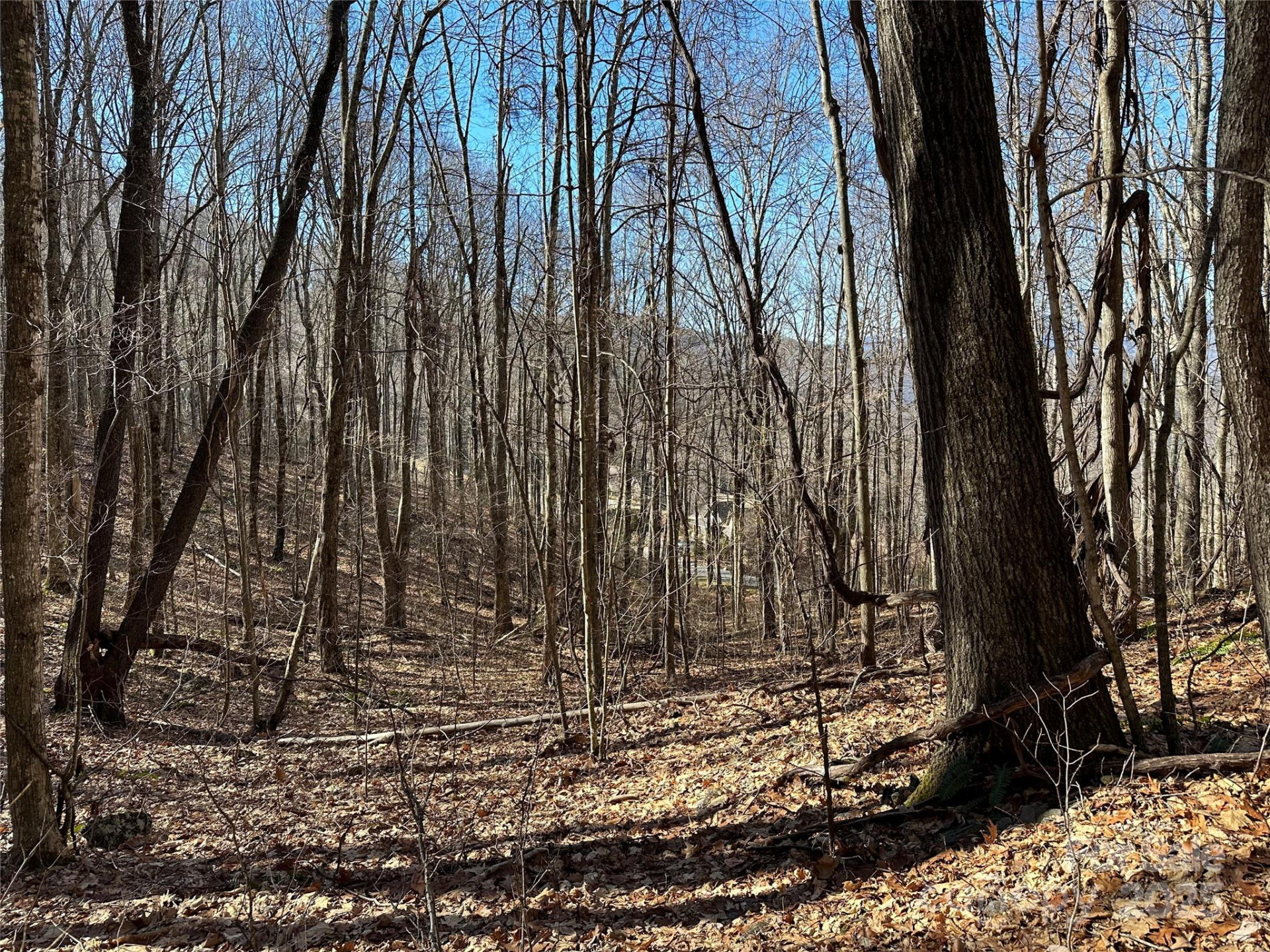 000 Finlaystone Trace #26 - Photo 6