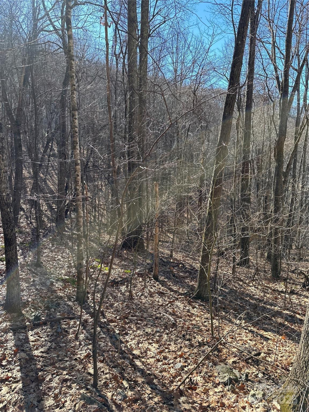 000 Finlaystone Trace #26 - Photo 7