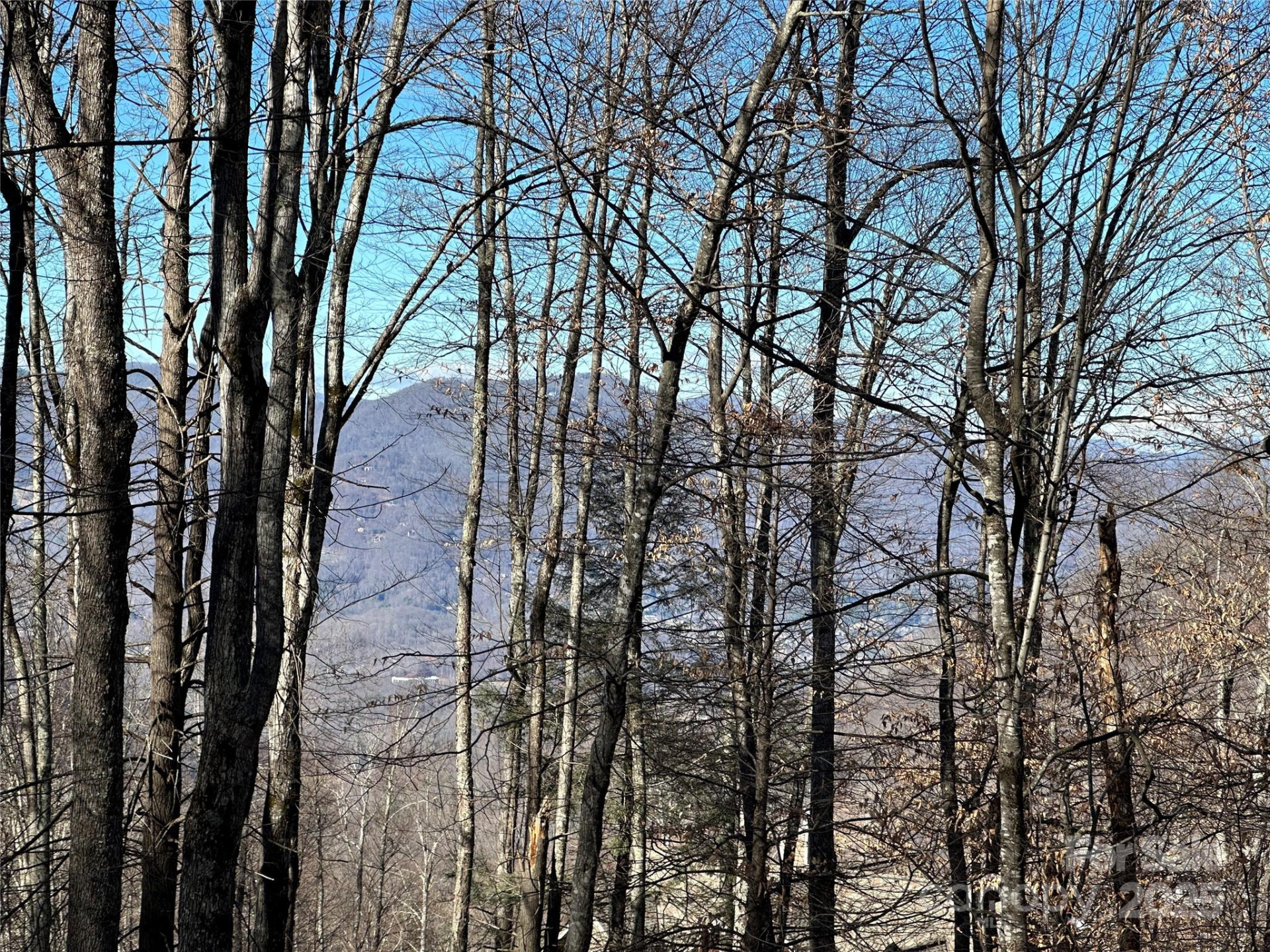 0000 St Andrews Road #17 - Photo 2