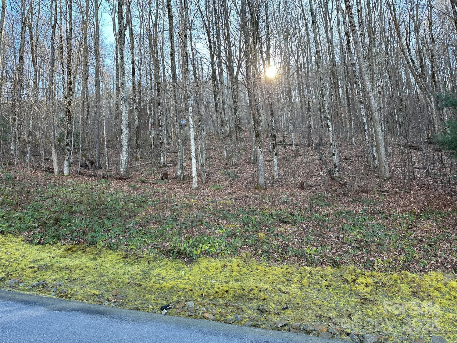 0000 St Andrews Road #17 - Photo 11